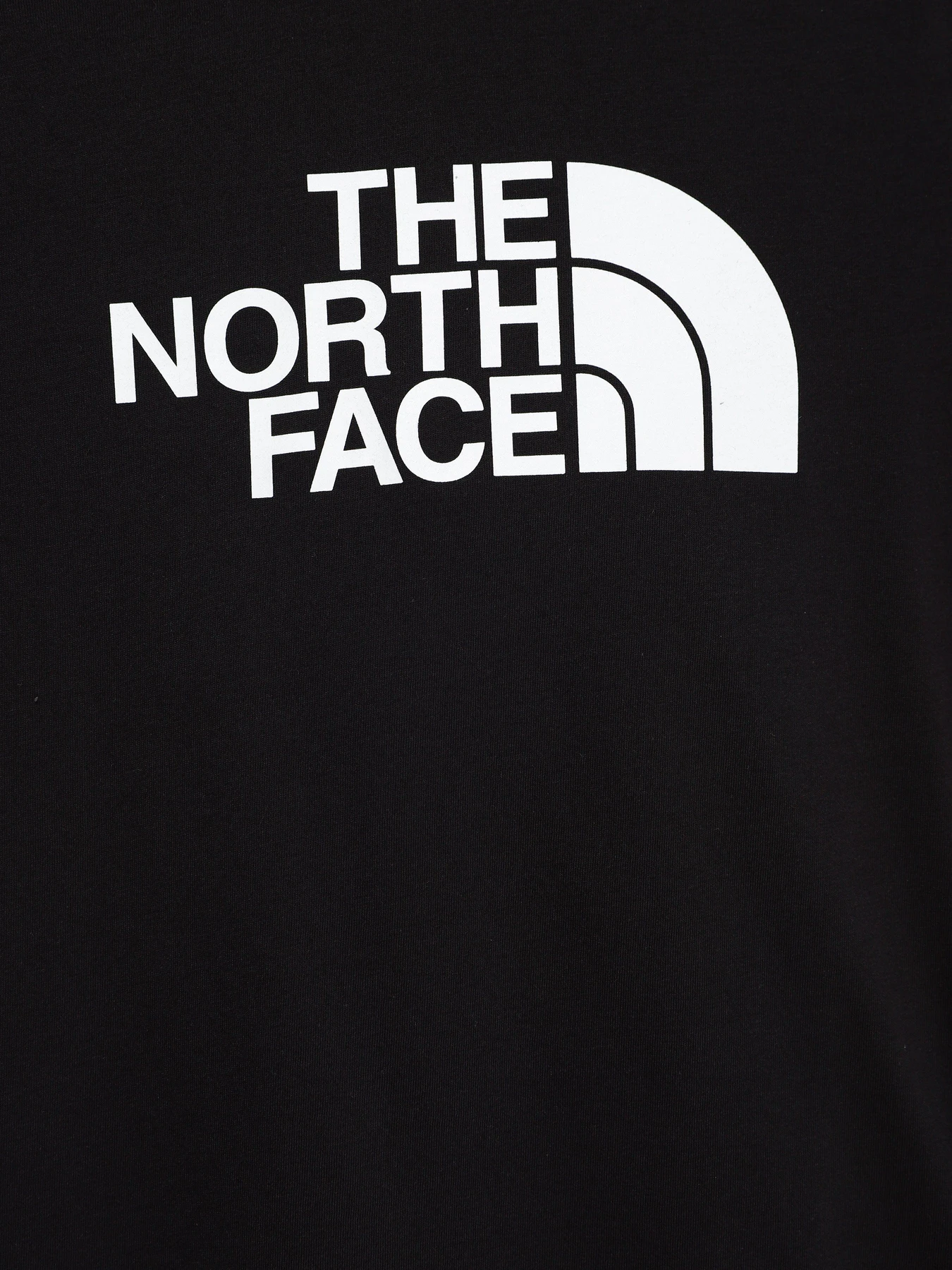 Футболки и поло The North Face Easy модель NF0A7X5EJK31 Фото