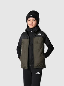 Куртки та дублянки The North Face NEVER STOP модель NF0A7ZEK21L1 Фото