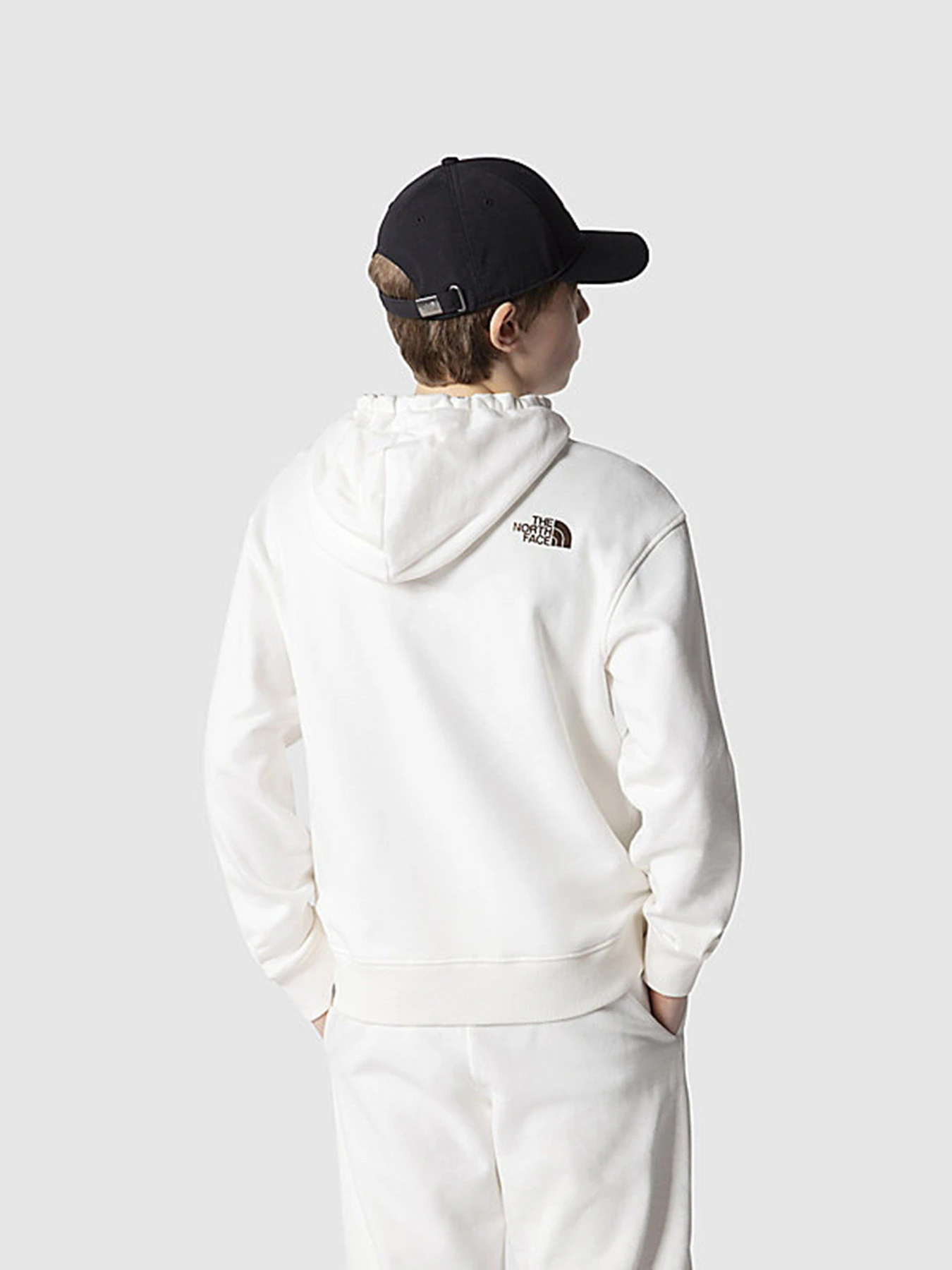 Худи и свитшоты The North Face Oversized модель NF0A7X4UN3N1 Фото