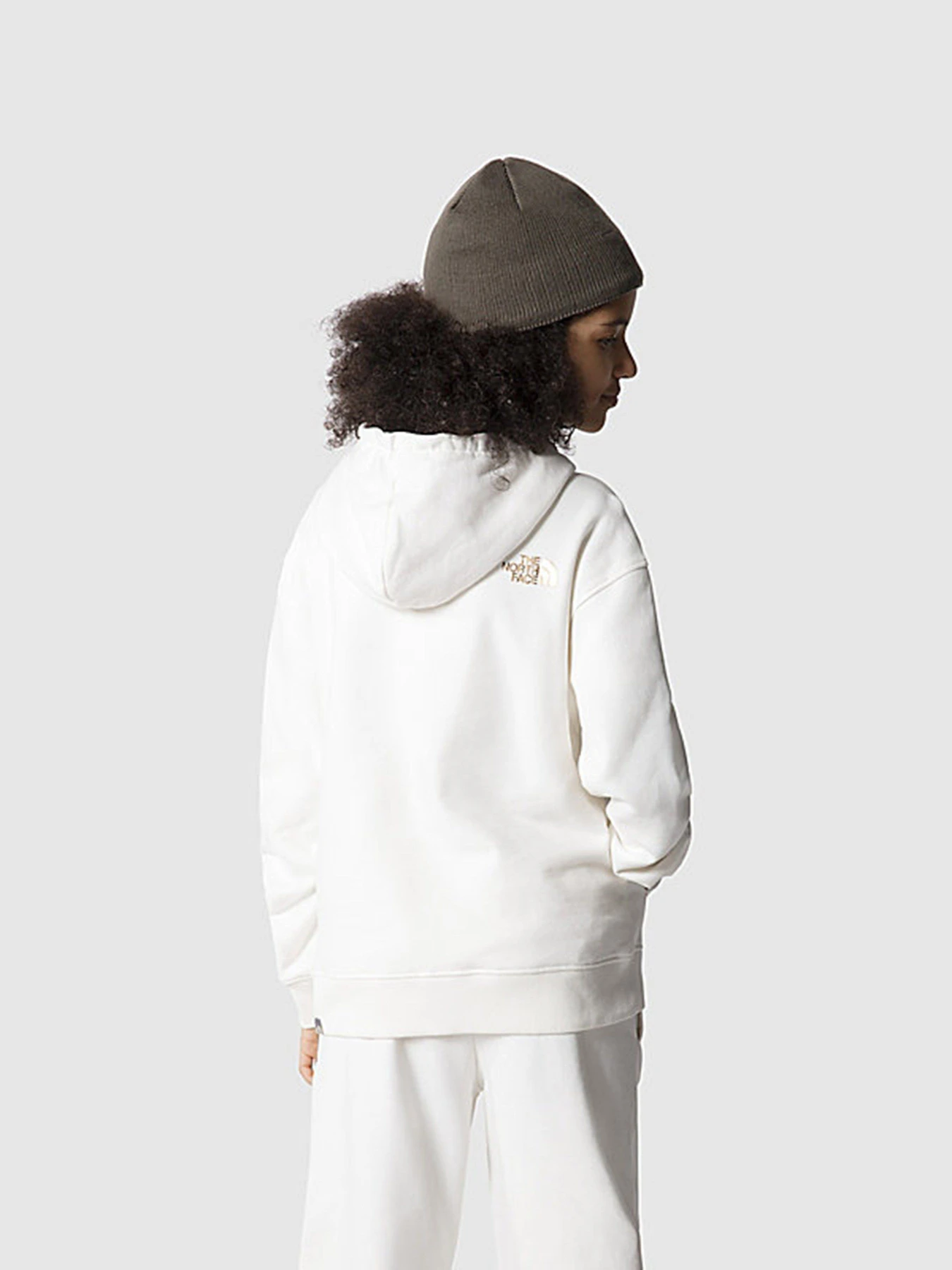 Худи и свитшоты The North Face Oversized модель NF0A7X4UN3N1 Фото