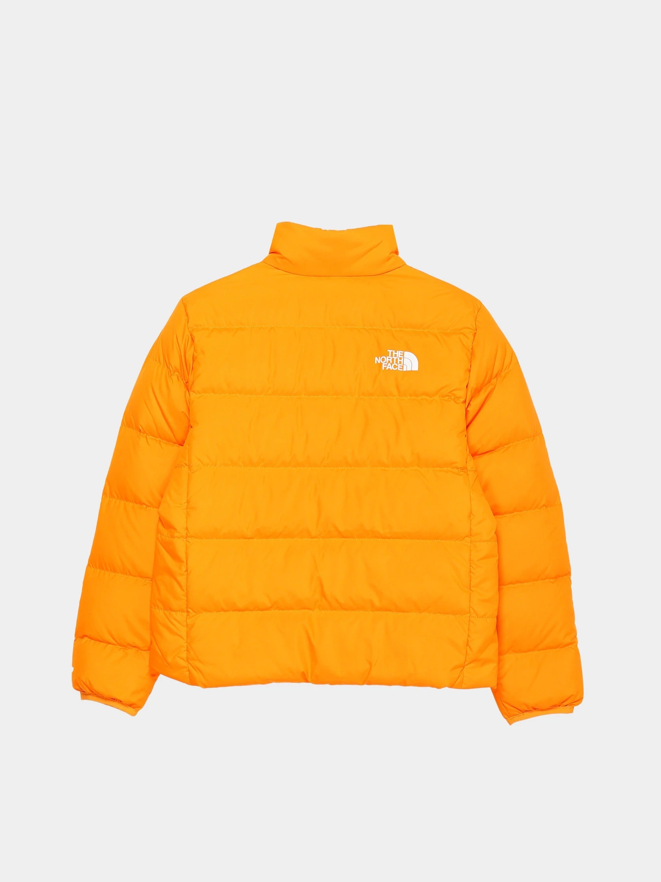 Куртки та дублянки The North Face Reversible Down модель NF0A7WOQ78M1 Куртки та дублянки The North Face Reversible Down модель NF0A7WOQ78M1 Фото