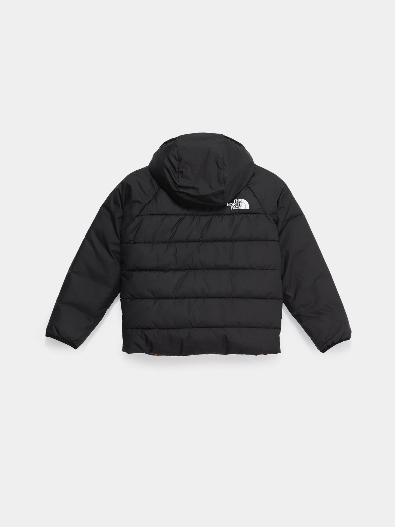 Куртки и дубленки The North Face Reversible Perrito модель NF0A7X4R84P1 Фото