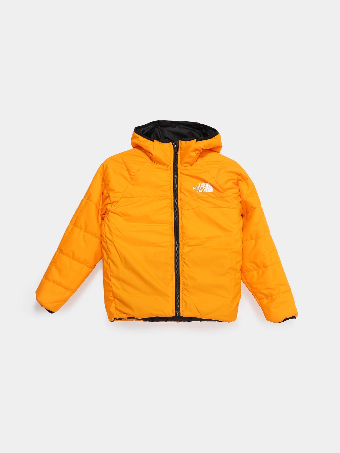 Куртки и дубленки The North Face Reversible Perrito модель NF0A7X4R84P1 Фото