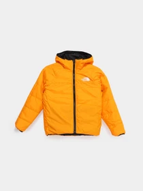 Куртки и дубленки The North Face Reversible Perrito модель NF0A7X4R84P1 Фото