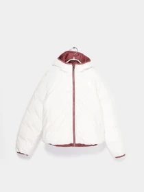 Куртки и дубленки The North Face Reversible North Down Hooded модель NF0A7WOY6R41 Фото