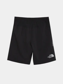 Шорты The North Face Never Stop модель NF0A82DLJK31 Фото