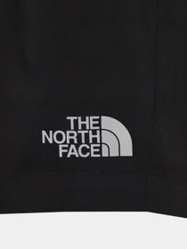 Шорты The North Face Never Stop модель NF0A82DLJK31 Фото