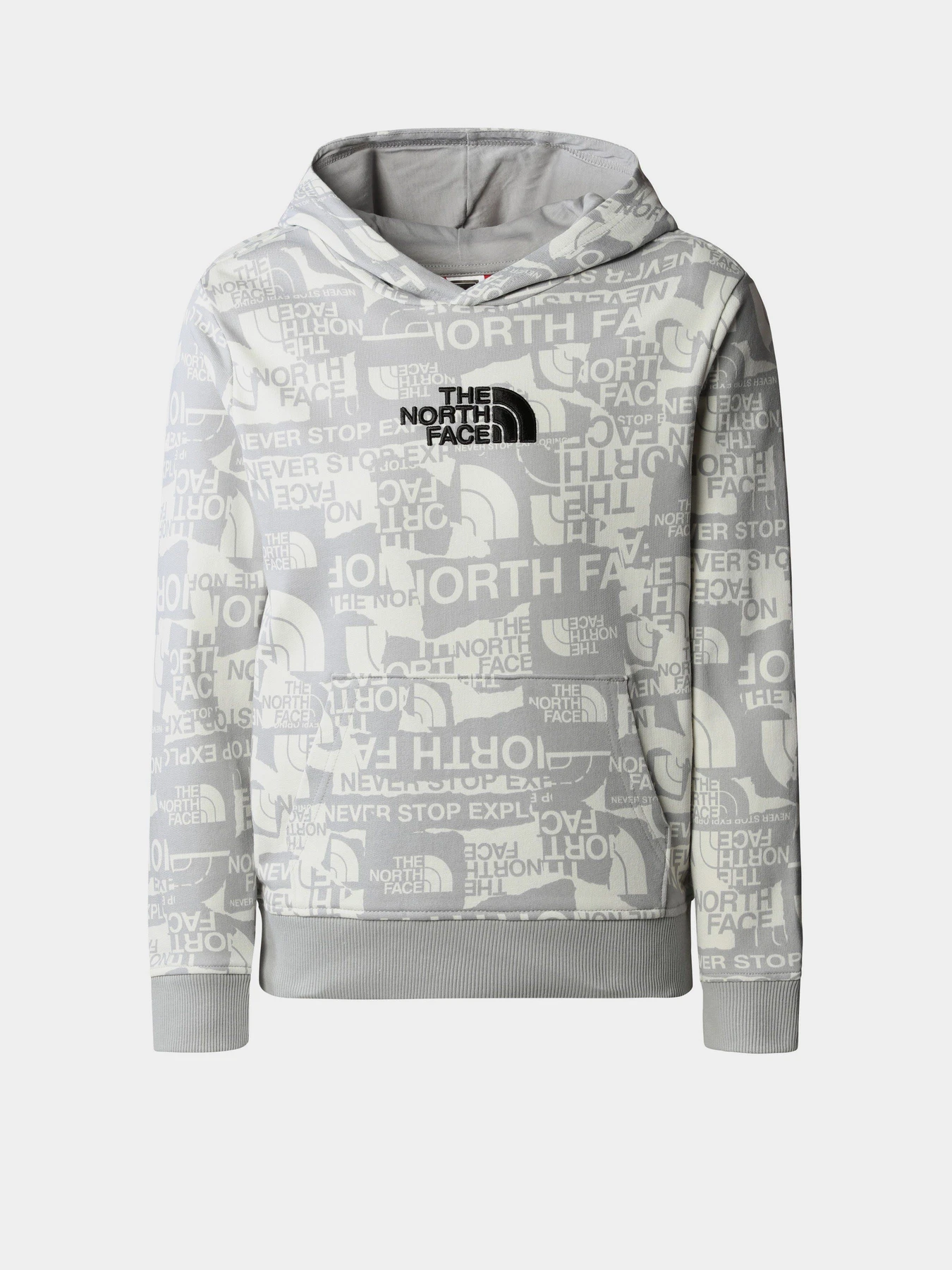 Худи и свитшоты The North Face Drew Peak Light модель NF0A82EGIWD1 Худи и свитшоты The North Face Drew Peak Light модель NF0A82EGIWD1 Фото