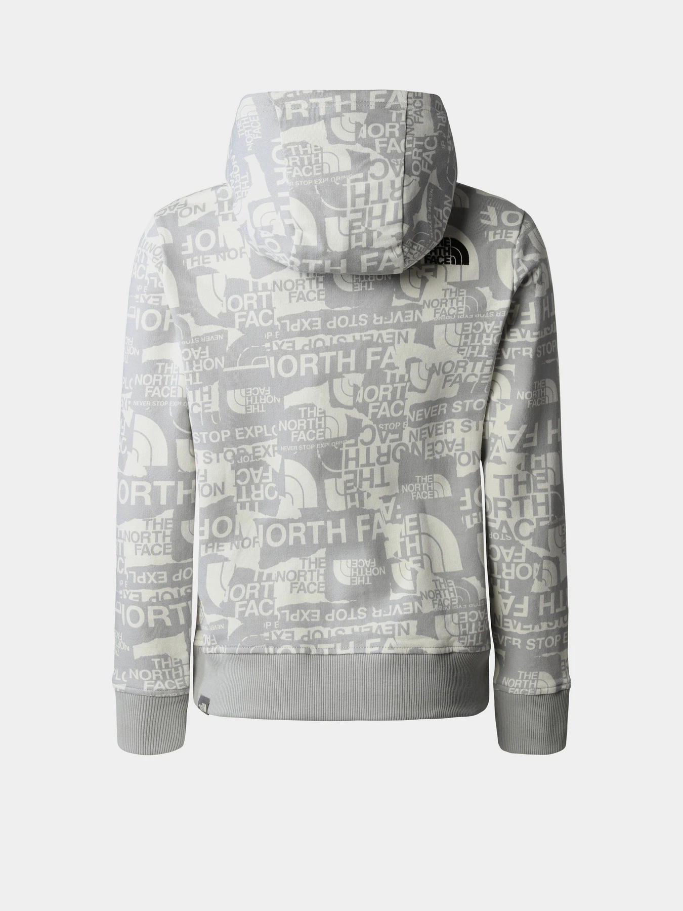 Худи и свитшоты The North Face Drew Peak Light модель NF0A82EGIWD1 Худи и свитшоты The North Face Drew Peak Light модель NF0A82EGIWD1 Фото