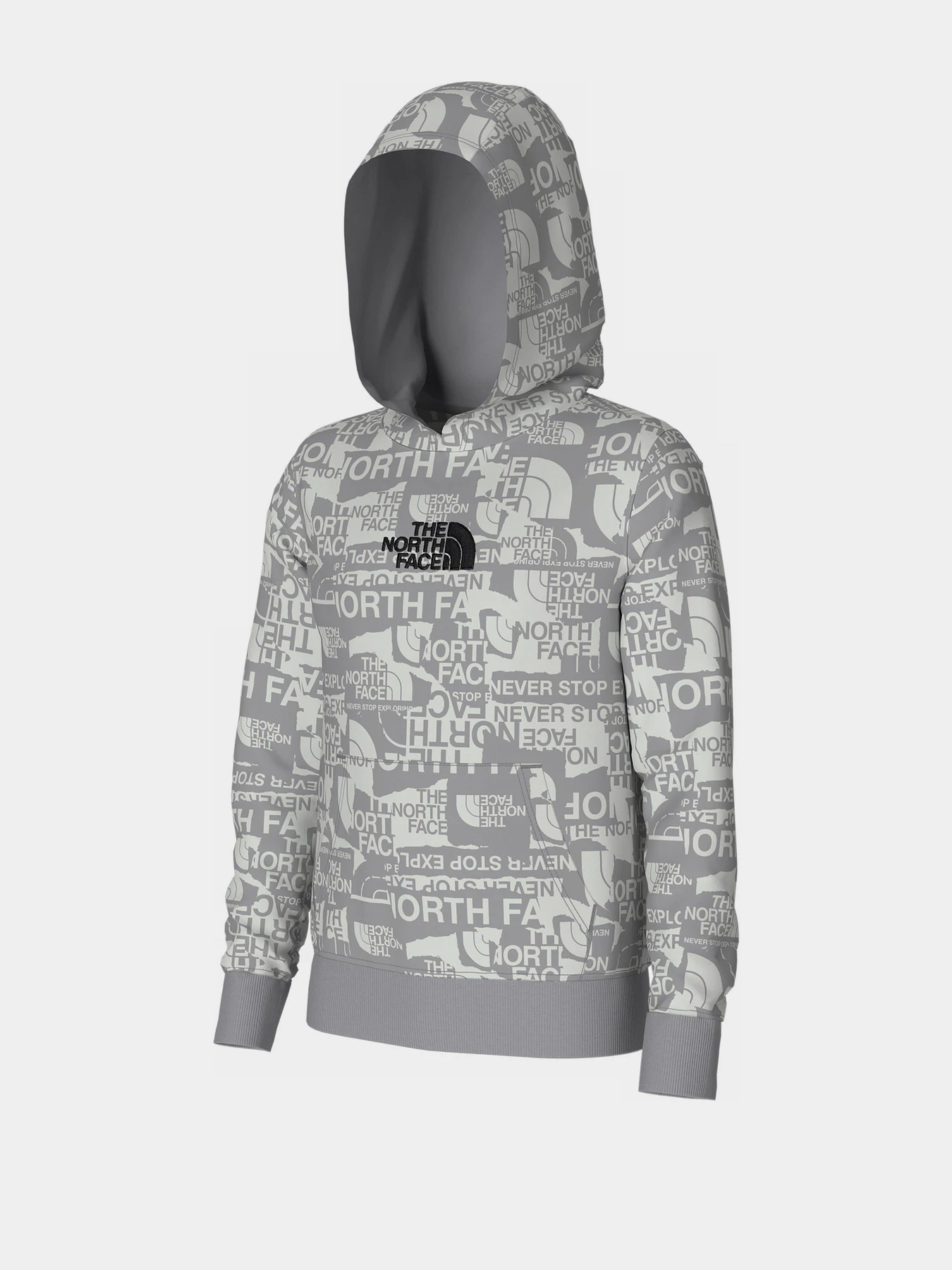 Худи и свитшоты The North Face Drew Peak Light модель NF0A82EGIWD1 Худи и свитшоты The North Face Drew Peak Light модель NF0A82EGIWD1 Фото