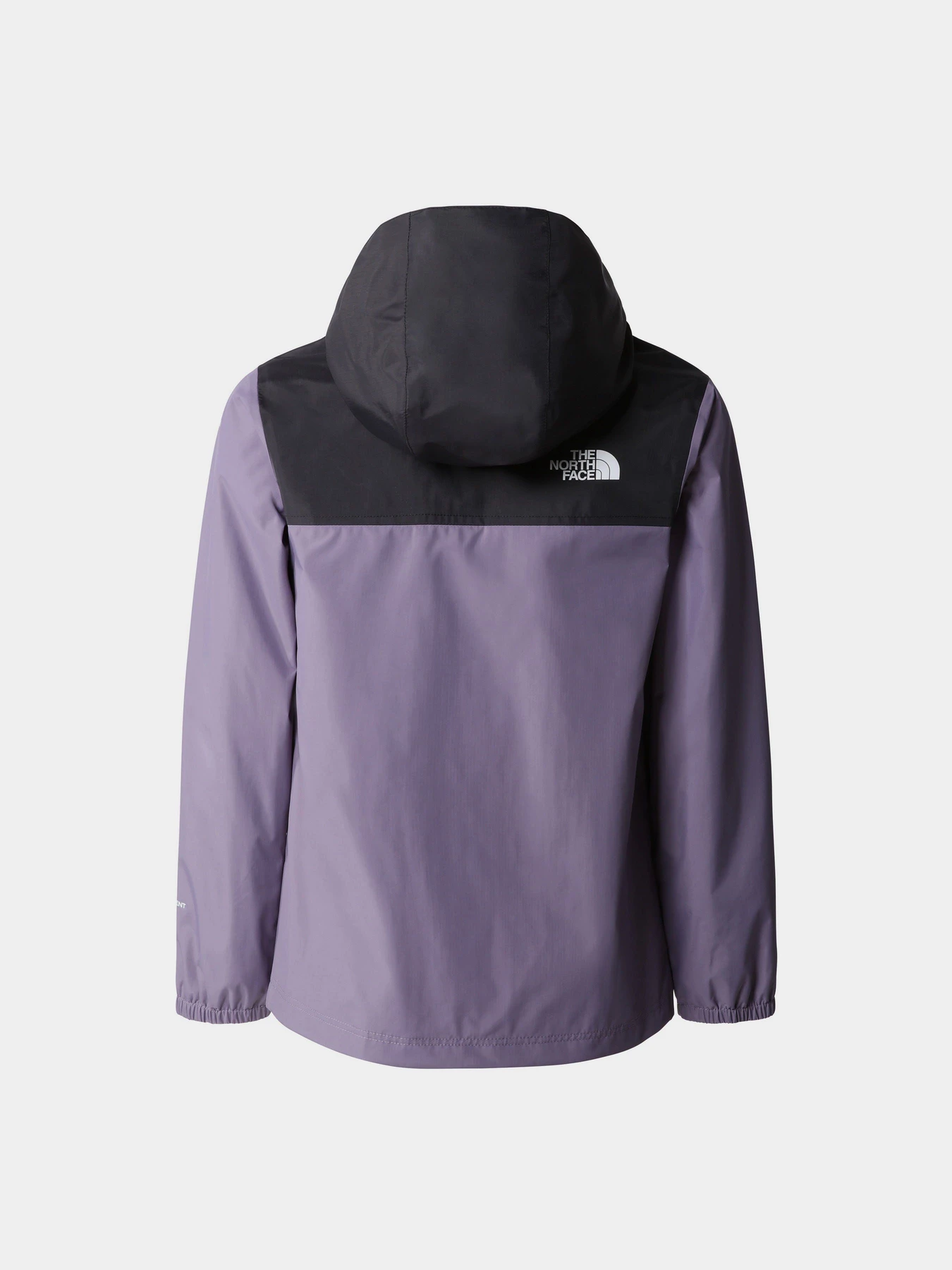 Куртки та дублянки The North Face Rainwear Shell модель NF0A82ESN141 Фото