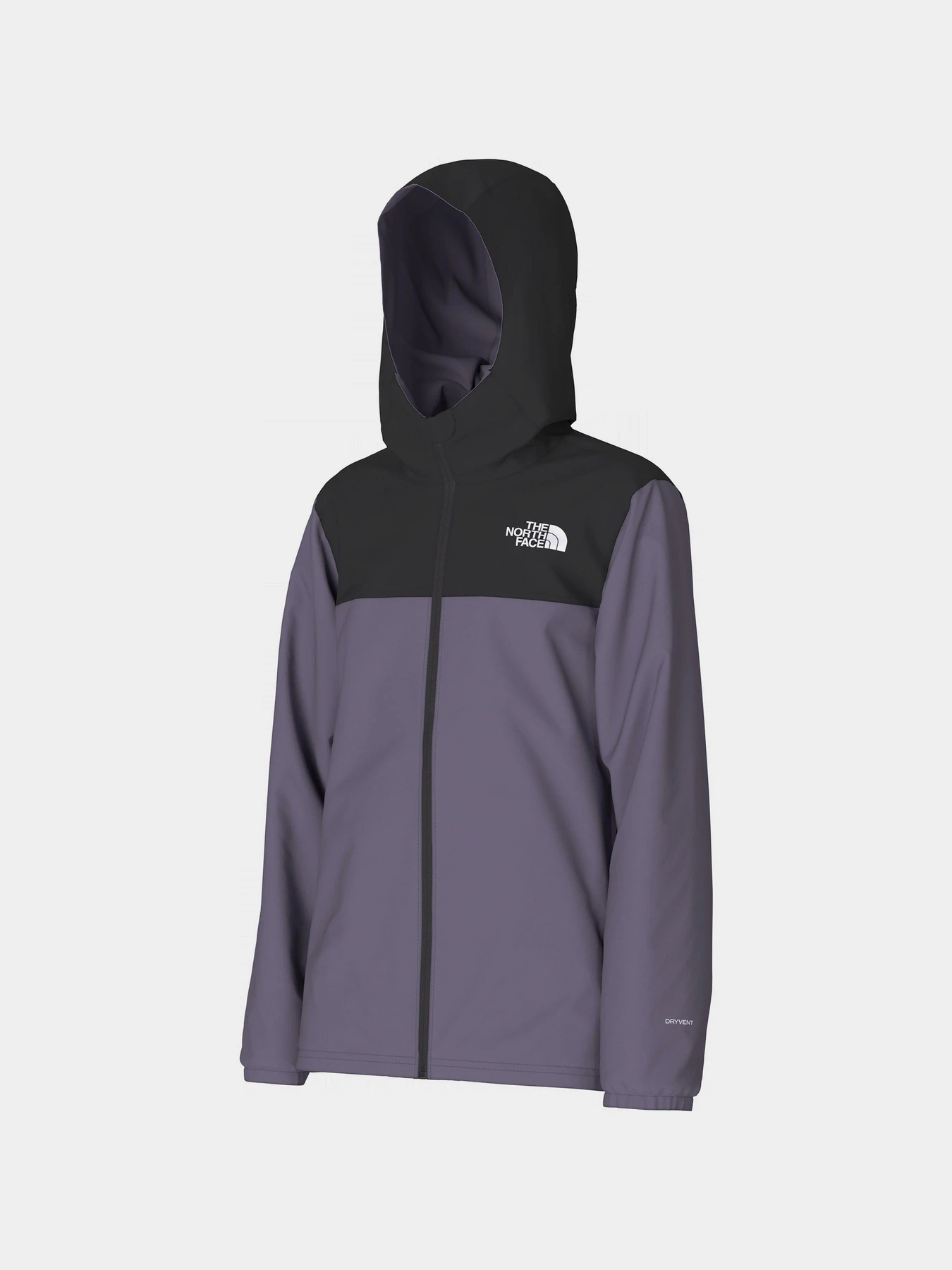 Куртки та дублянки The North Face Rainwear Shell модель NF0A82ESN141 Фото