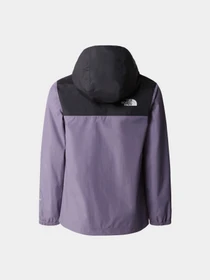 Куртки та дублянки The North Face Rainwear Shell модель NF0A82ESN141 Фото