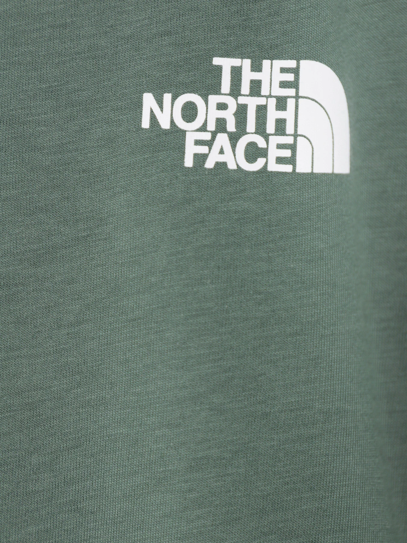 Футболки и поло The North Face Red Box модель NF0A82E9O241 Футболки и поло The North Face Red Box модель NF0A82E9O241 Фото