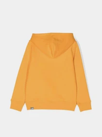 Худі та світшоти The North Face Drew Peak модель NF0A82EN56P1 Фото