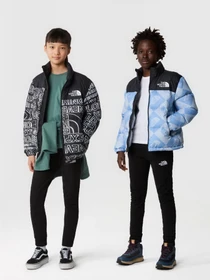 Брюки The North Face SLACKER JOGGERS модель NF0A82EOJK31 Фото