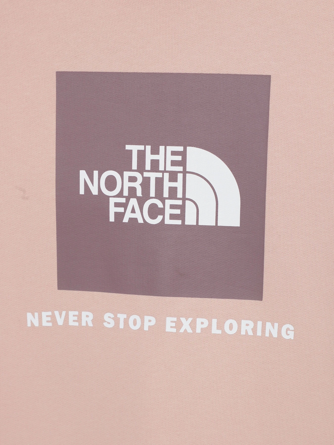 Худи и свитшоты The North Face Redbox модель NF0A82EPOU61 Худи и свитшоты The North Face Redbox модель NF0A82EPOU61 Фото