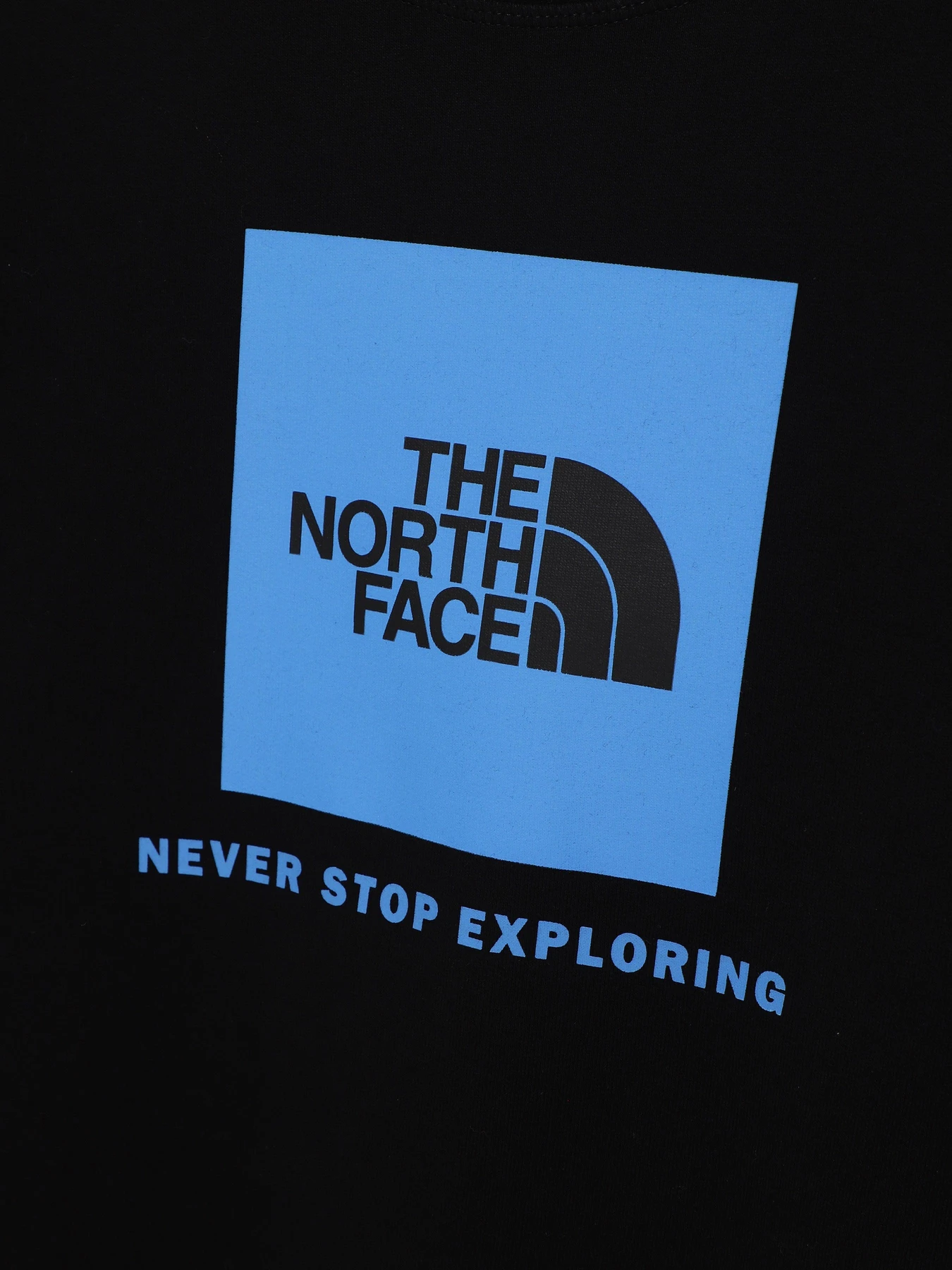 Худі та світшоти The North Face Redbox модель NF0A82EPOGF1 Худі та світшоти The North Face Redbox модель NF0A82EPOGF1 Фото