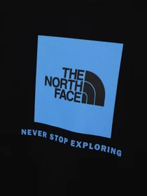 Худі та світшоти The North Face Redbox модель NF0A82EPOGF1 Фото