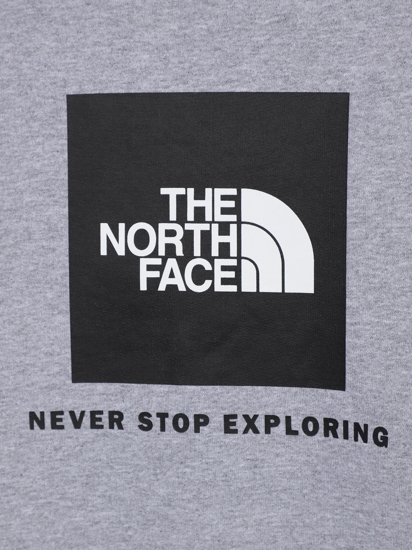 Худи и свитшоты The North Face Redbox модель NF0A82EPGAU1 Худи и свитшоты The North Face Redbox модель NF0A82EPGAU1 Фото