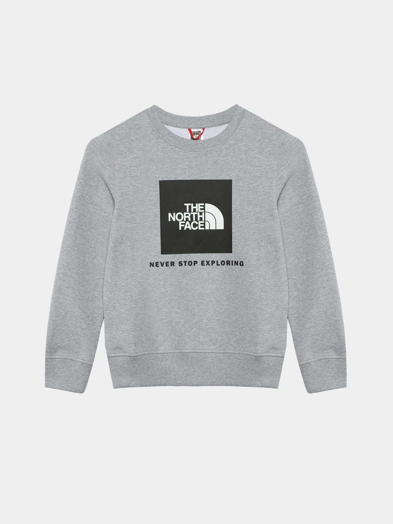 Худи и свитшоты The North Face Redbox модель NF0A82EPGAU1 Худи и свитшоты The North Face Redbox модель NF0A82EPGAU1 Фото