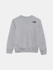 Худи и свитшоты The North Face Redbox модель NF0A82EPGAU1 Фото