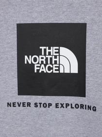 Худи и свитшоты The North Face Redbox модель NF0A82EPGAU1 Фото