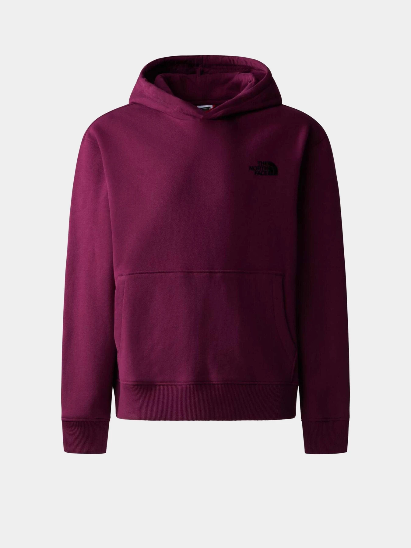 Худи и свитшоты The North Face Teen Oversized модель NF0A82GJI0H1 Худи и свитшоты The North Face Teen Oversized модель NF0A82GJI0H1 Фото