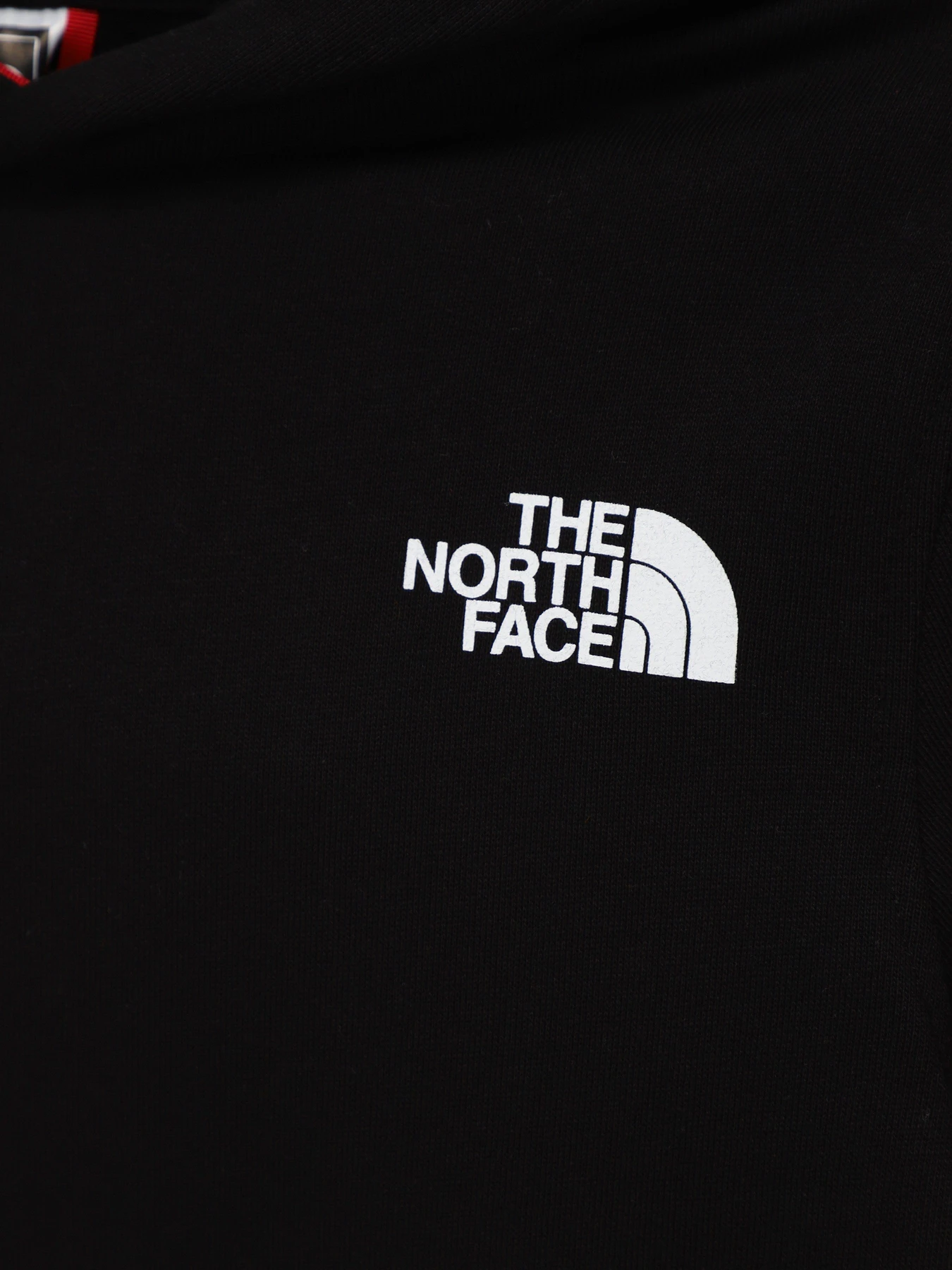 Худи и свитшоты The North Face GRAPHIC модель NF0A854WJ941 Худи и свитшоты The North Face GRAPHIC модель NF0A854WJ941 Фото