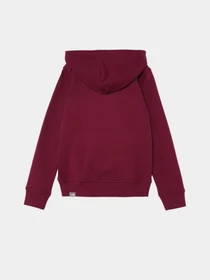 Худи и свитшоты The North Face Teens Box P/O модель NF0A855BI0H1 Фото