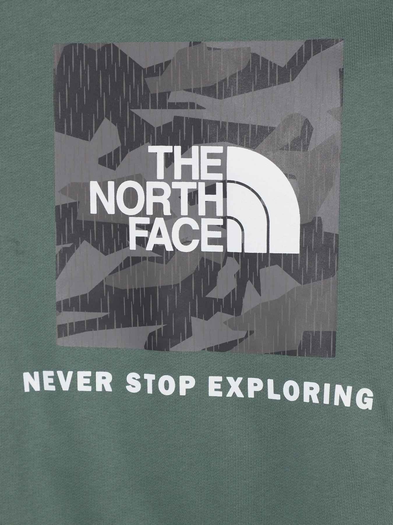 Худи и свитшоты The North Face Teens Box P/O модель NF0A855BO241 Худи и свитшоты The North Face Teens Box P/O модель NF0A855BO241 Фото