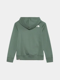 Худи и свитшоты The North Face Teens Box P/O модель NF0A855BO241 Фото