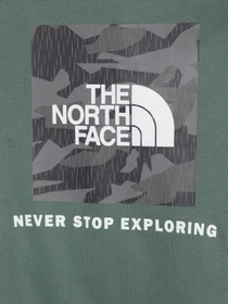 Худи и свитшоты The North Face Teens Box P/O модель NF0A855BO241 Фото
