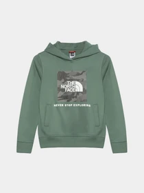 Худі та світшоти The North Face Teens Box P/O модель NF0A855BO241 Фото