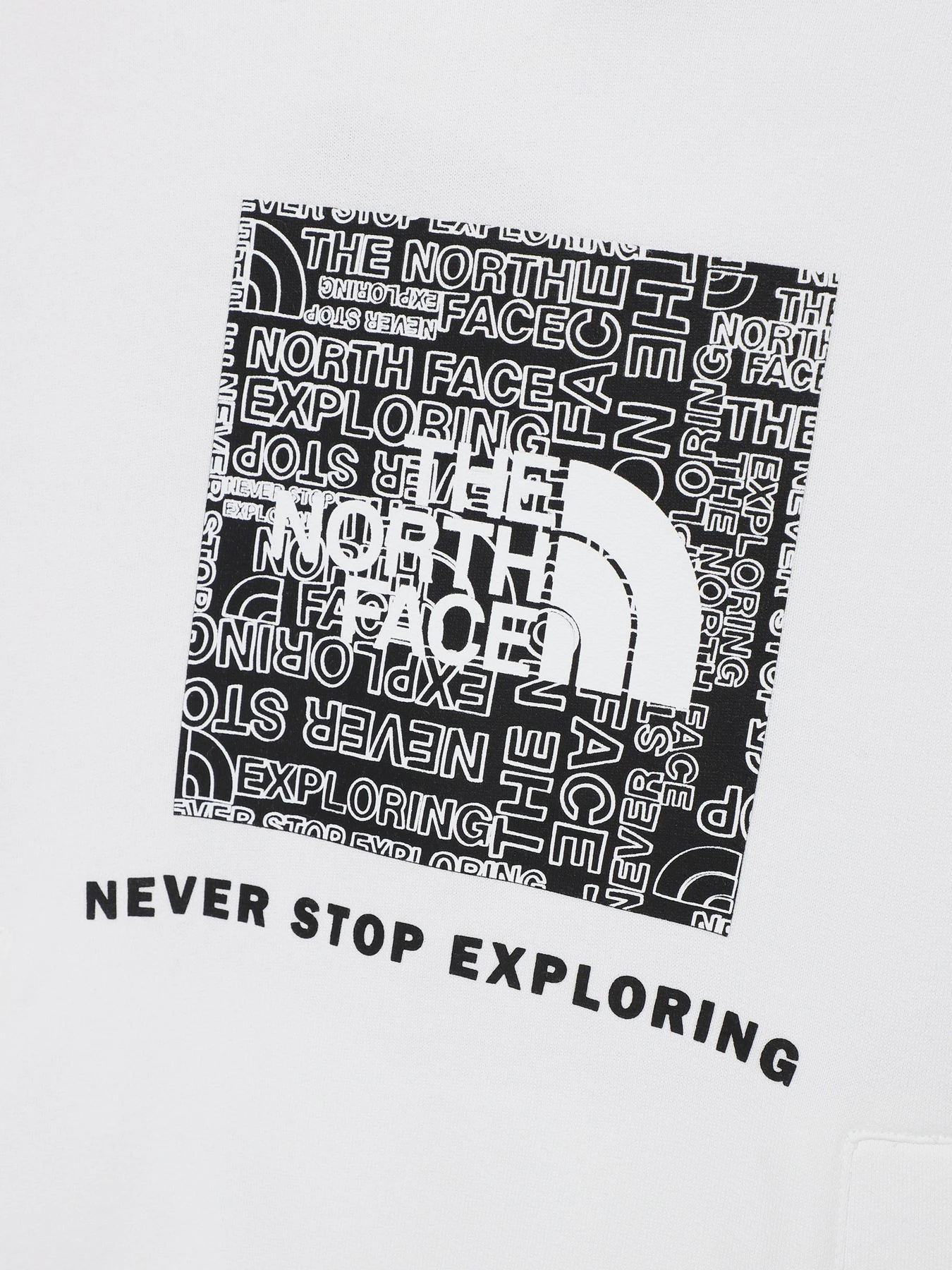 Худи и свитшоты The North Face Teens Box P/O модель NF0A855BLA91 Худи и свитшоты The North Face Teens Box P/O модель NF0A855BLA91 Фото