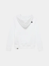 Худи и свитшоты The North Face Teens Box P/O модель NF0A855BLA91 Фото