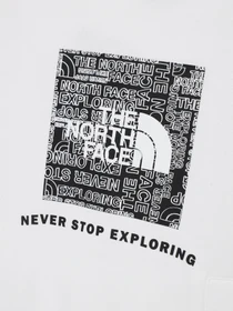 Худи и свитшоты The North Face Teens Box P/O модель NF0A855BLA91 Фото