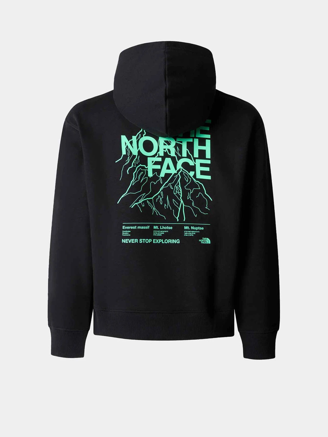 Худі та світшоти The North Face Mountain Line модель NF0A8599JK31 Фото