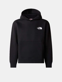 Худі та світшоти The North Face Mountain Line модель NF0A8599JK31 Фото