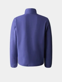 Худи и свитшоты The North Face Teen Glacier Fleece 1/4 Zip модель NF0A82D1I0D1 Фото