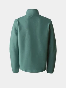 Худи и свитшоты The North Face Teen Glacier Fleece 1/4 Zip модель NF0A82D1I0F1 Фото