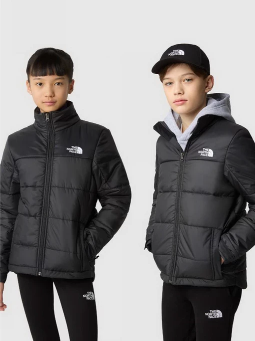 Куртки та дублянки The North Face CIRCULAR SYNTHETIC модель NF0A7ZIWKX71 Фото