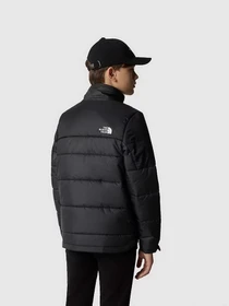 Куртки и дубленки The North Face CIRCULAR SYNTHETIC модель NF0A7ZIWKX71 Фото