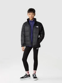 Куртки и дубленки The North Face CIRCULAR SYNTHETIC модель NF0A7ZIWKX71 Фото