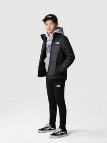 Куртки и дубленки The North Face CIRCULAR SYNTHETIC модель NF0A7ZIWKX71 Фото