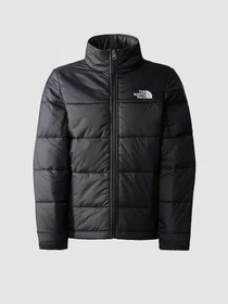 Куртки и дубленки The North Face CIRCULAR SYNTHETIC модель NF0A7ZIWKX71 Фото