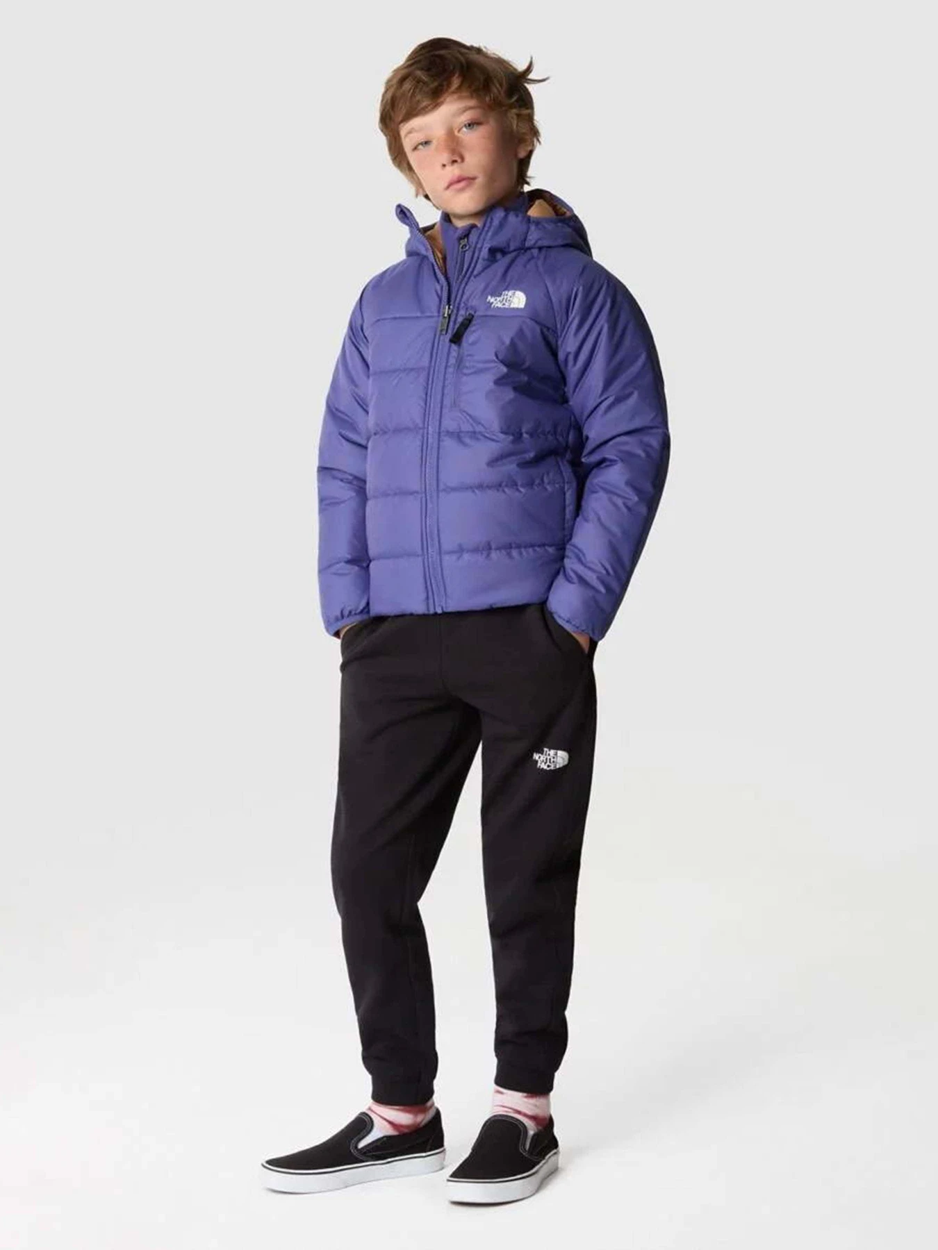 Куртки и дубленки The North Face Reversible Perrito модель NF0A82DAOSX1 Фото