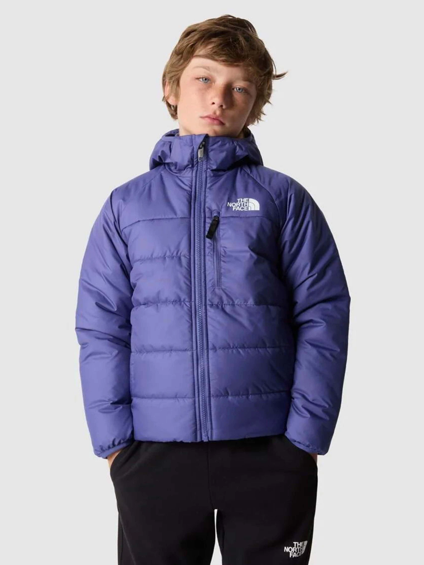 Куртки и дубленки The North Face Reversible Perrito модель NF0A82DAOSX1 Фото