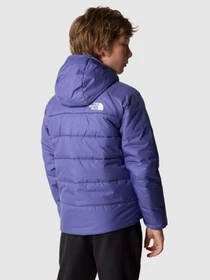 Куртки и дубленки The North Face Reversible Perrito модель NF0A82DAOSX1 Фото