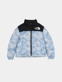 Куртки та дублянки The North Face 1996 Retro Nuptse модель NF0A82UDO3I1 Фото